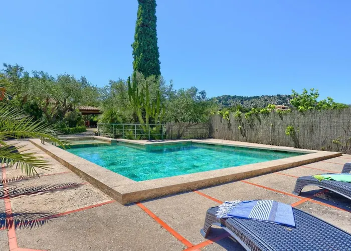 Josefina * פוינסה